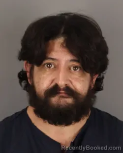 Mugshot of RICHARD ALANIZ