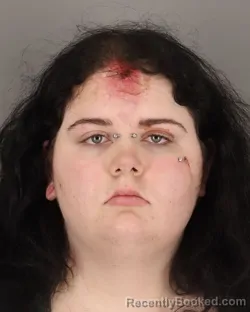 Mugshot of BREAGAN HUELSMAN