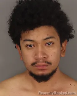 Mugshot of RICKY MENN