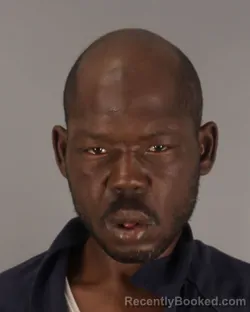 Mugshot of JAMES DIXSON