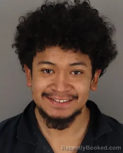 Mugshot of RICKY MENN