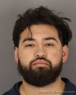 Mugshot of ALEJANDRO AYALA