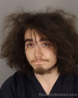 Mugshot of GABRIEL FROST