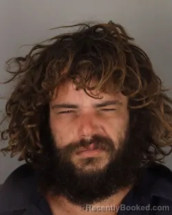 Mugshot of LAURENCE GODFREY