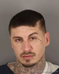 Mugshot of DILLAN CALLOWAY