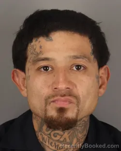 Mugshot of JESUS GUERRA