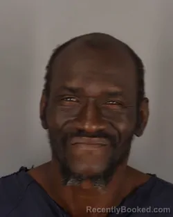 Mugshot of DAVID LEE