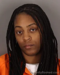 Mugshot of BRIANNE WILLIAMS