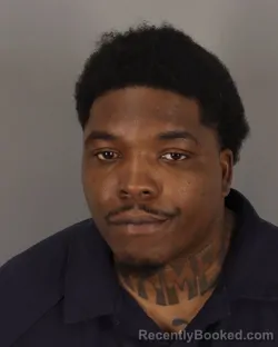 Mugshot of PARIS ROSS