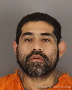 Mugshot of ARMANDO NEGRETE