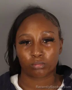 Mugshot of BRAZLYN ROBINSON