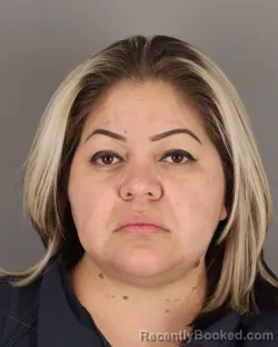 Mugshot of KARLA TERRAZAS