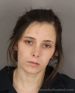 Mugshot of ERIN NEILL