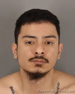 Mugshot of SEBASTIAN ZEPEDA