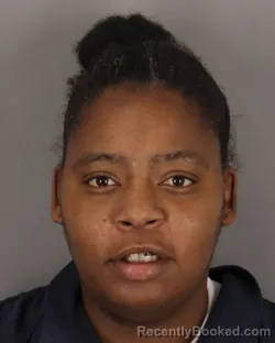 Mugshot of NADIA RUBIN