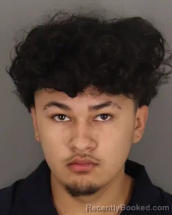 Mugshot of BRYAN TREJO