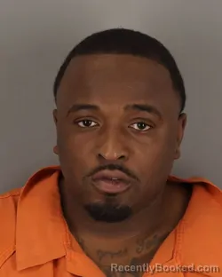 Mugshot of DEREK ROBINSON