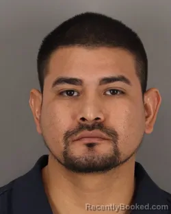 Mugshot of ARGELIO ARELLANO