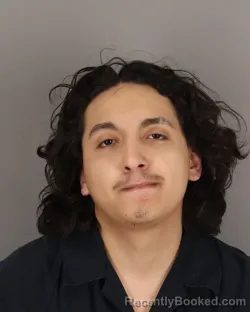 Mugshot of JONATHAN LUNA