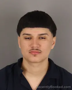 Mugshot of BRANDON GONZALEZ