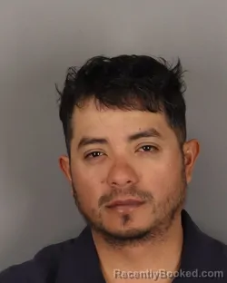 Mugshot of DAVID GARCIA