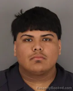 Mugshot of CHRISTIAN PEREZ