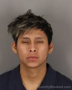 Mugshot of MARIO AJCIP