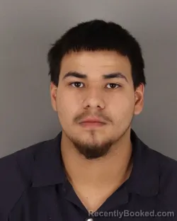 Mugshot of MARCO MORALES