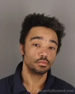 Mugshot of JOHN AUSTIN