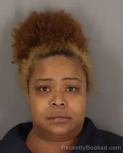 Mugshot of THERESA RICHARD