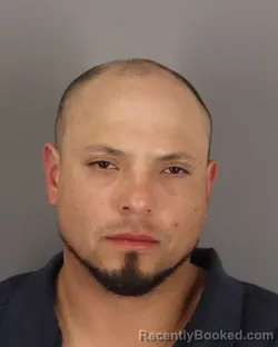 Mugshot of ADRIAN WALLS