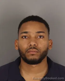 Mugshot of LUIS HERNANDEZ