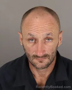 Mugshot of DAVID BATES