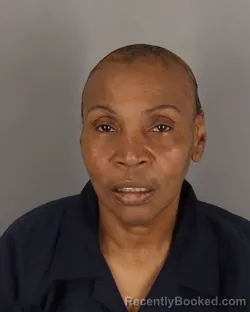 Mugshot of MARILYN ROBISON