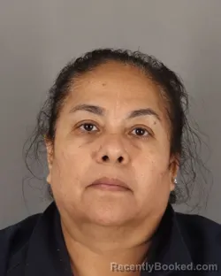 Mugshot of MARIA ORTIZ booked in Jefferson County, Texas on March 14, 2026