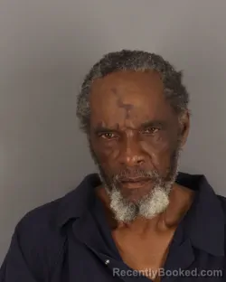 Mugshot of LADDIE JOHNSON