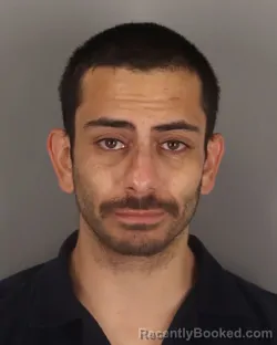 Mugshot of KAMRON SALIMI
