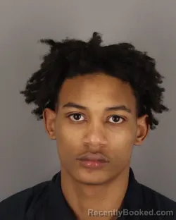 Mugshot of CHRISTOPHER HERRING