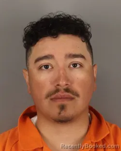 Mugshot of GREGORIA FLORES