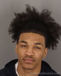 Mugshot of ALEXANDER PERKINS booked in Jefferson County, Texas on March 16, 2026