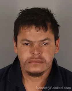 Mugshot of WILSON BACA-ORTEGA booked in Jefferson County, Texas on March 17, 2026