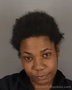 Mugshot of TIFFANY TURNER booked in Jefferson County, Texas on March 17, 2026