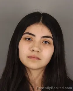 Mugshot of NALYNA BARRIENTES booked in Jefferson County, Texas on March 18, 2026