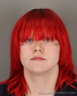 Mugshot of PAGAN DOWNHOUR booked in Jefferson County, Texas on March 20, 2026