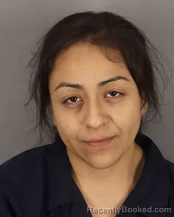 Mugshot of ESTEFANY PEREZ-VALLE booked in Jefferson County, Texas on March 23, 2026