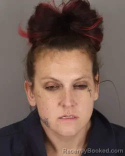 Mugshot of ERICA WHITE-SEGEADA booked in Jefferson County, Texas on March 25, 2026