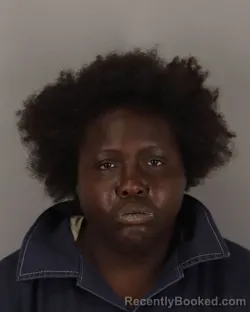 Mugshot of LISA HARRIS booked in Jefferson County, Texas on March 26, 2026