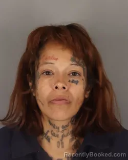 Mugshot of MERCEDES ABREGO booked in Jefferson County, Texas on March 26, 2026