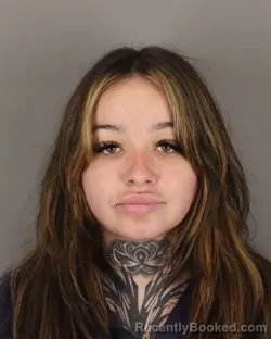 Mugshot of LINDSEY RAMSEY booked in Jefferson County, Texas on March 27, 2026