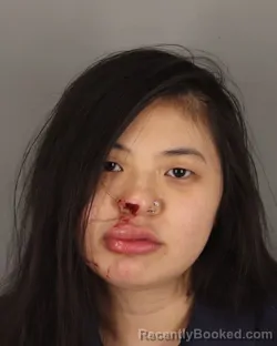 Mugshot of MYTIEN NGUYEN booked in Jefferson County, Texas on March 28, 2026